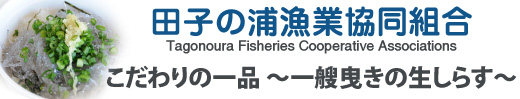 田子の浦漁業協同組合
